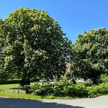 Appartamento Lassen Hof Brodersby-Goltoft